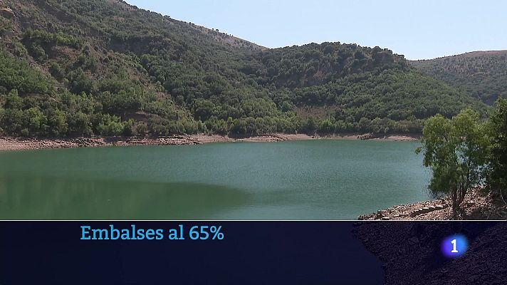 Informativo Telerioja - Informativo Telerioja 12-08-2025 Ver ahora