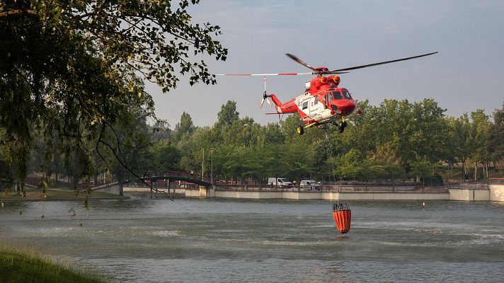 Diario 24 - Diario 24 - 12/08/25