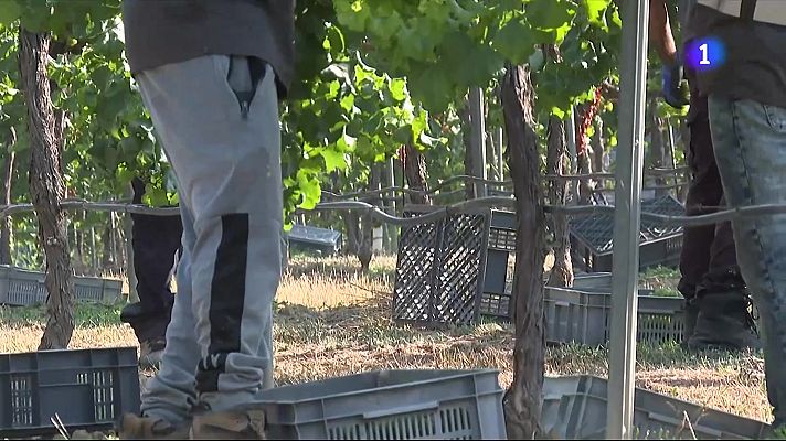 L'Informatiu - L'Informatiu - 12/08/2025