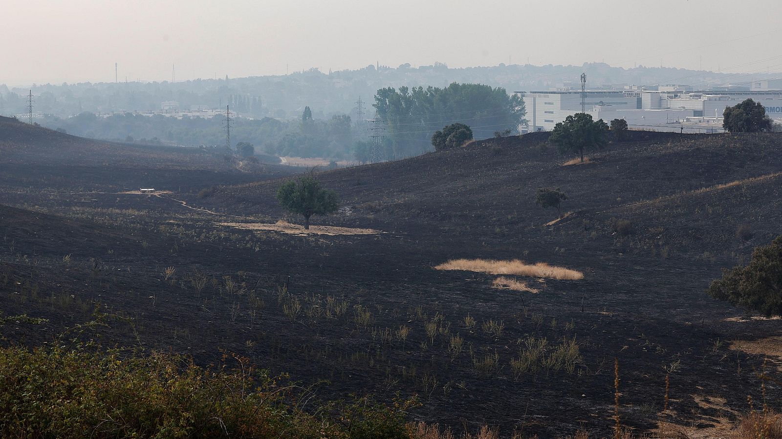 Telediario 1 en cuatro minutos - 12/08/25 - RTVE.es | Ver
