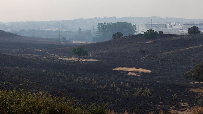Telediario en lengua de signos - Telediario - 15 horas - 12/08/25 - Lengua de signos