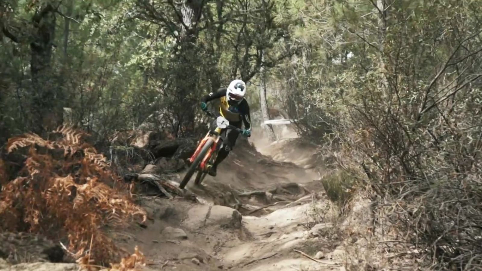 Deportes 1 - 12/08/25 - Los Deportes de La1 | Ver