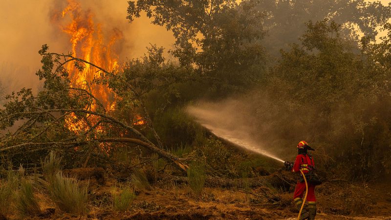 España arde en 12 días de agosto más que en todo 2024 - Telediario 1 | Ver