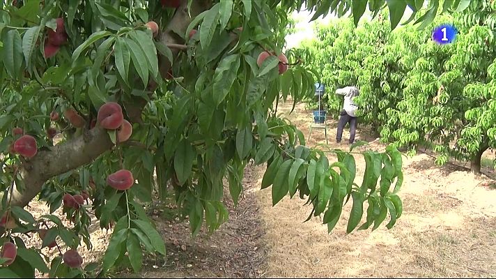 L'Informatiu - L'Informatiu 2 - 12/08/2025