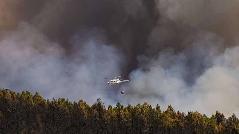 Galicia y Castilla y León, las comunidades más golpeadas por el fuego - Telediario 1 | Ver
