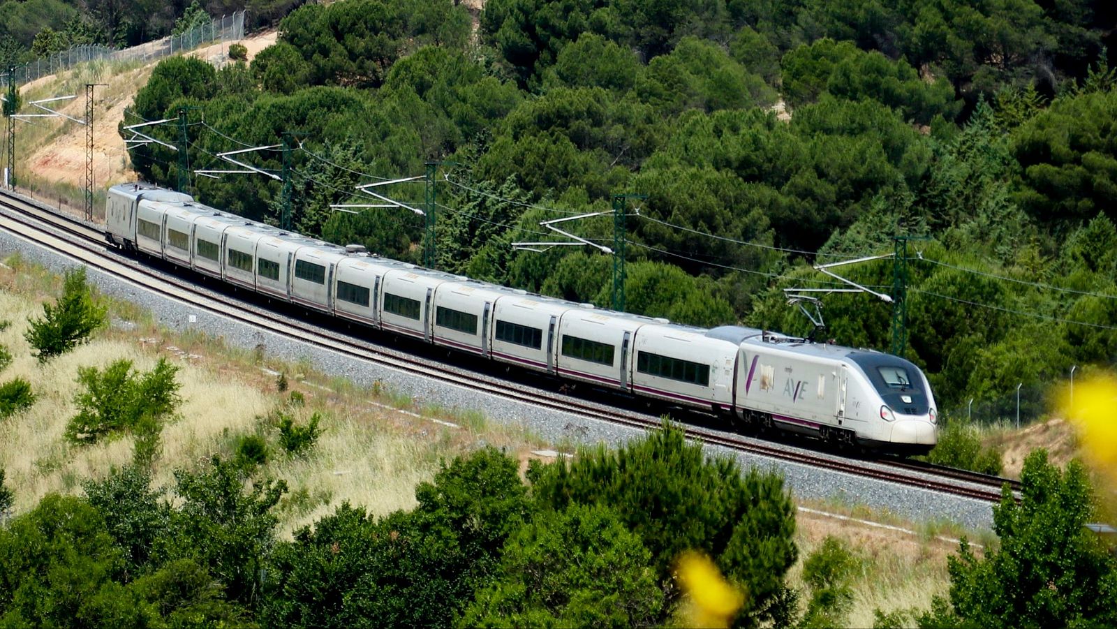 Un incendio en la provincia de Ourense interrumpe los trenes de alta velocidad entre Madrid y Galicia - La tarde en 24h | Ver