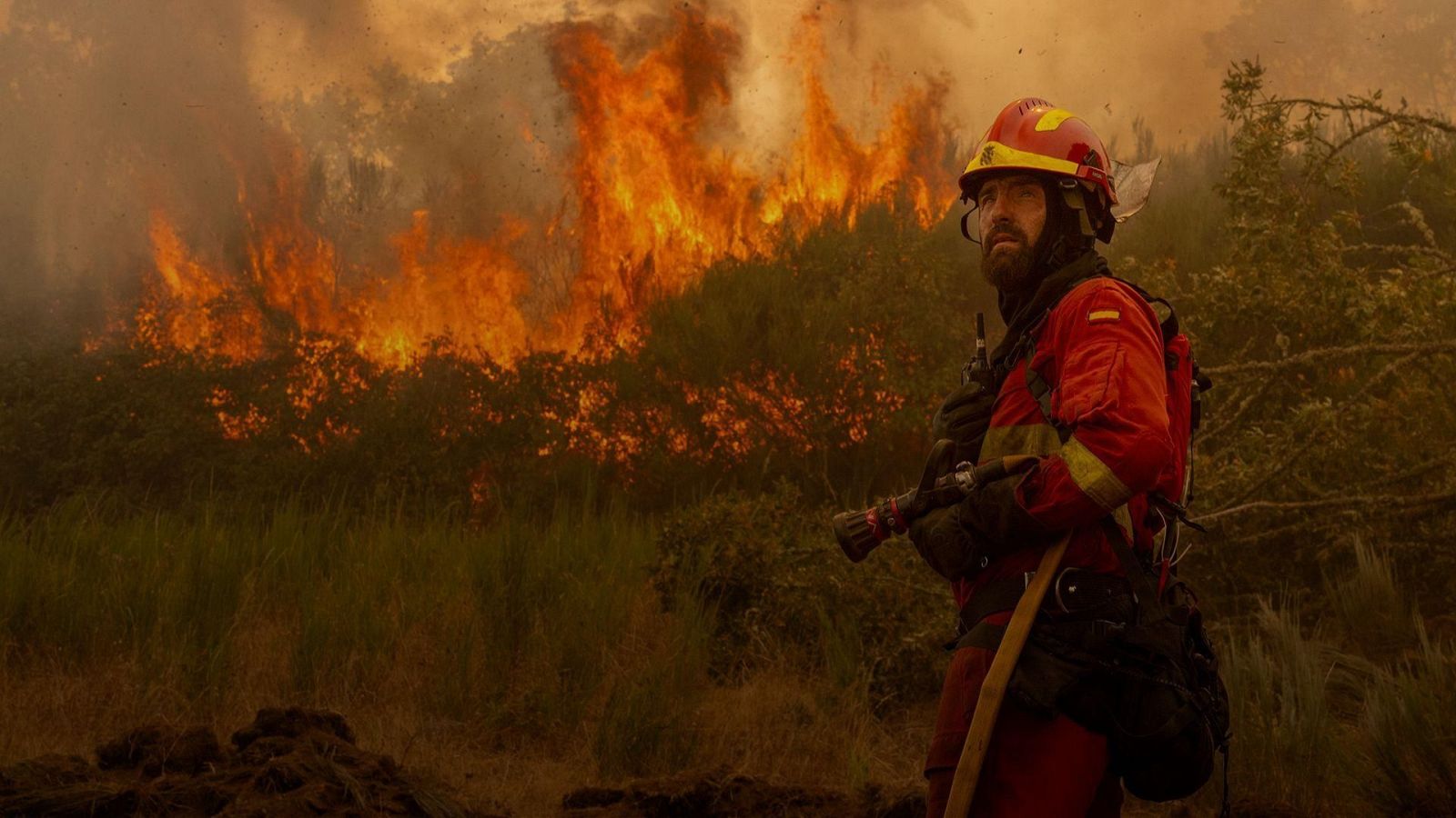 Telediario - 21 horas - 12/08/25 - Telediario 2 | Ver