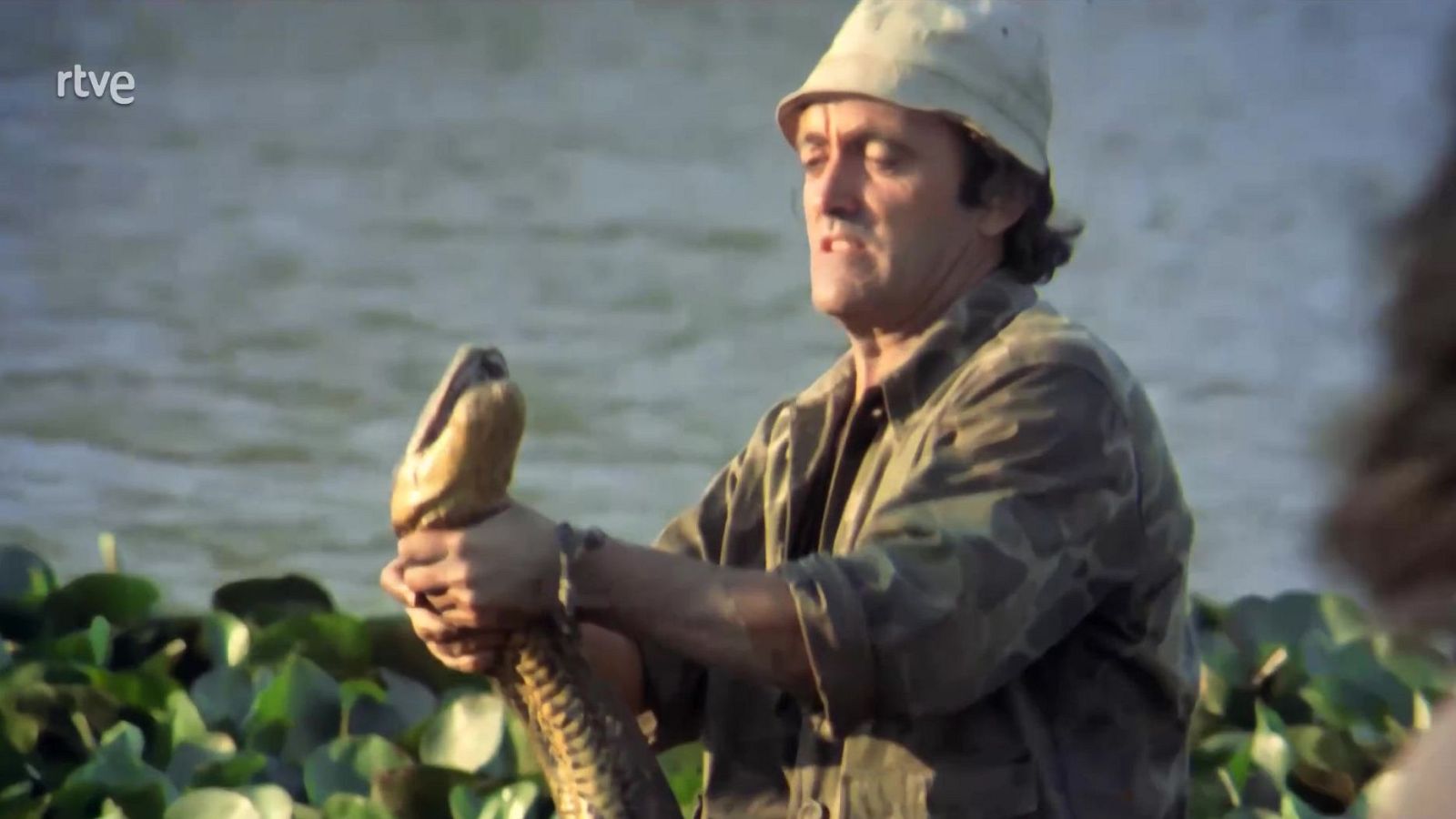 Viaje al centro de la tele (Exprés) - Presentado por, segunda parte - Viaje al centro de la tele | Ver