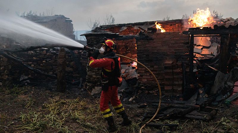 Los incendios avanzan sin control en Castilla y León - Diario 24 | Ver