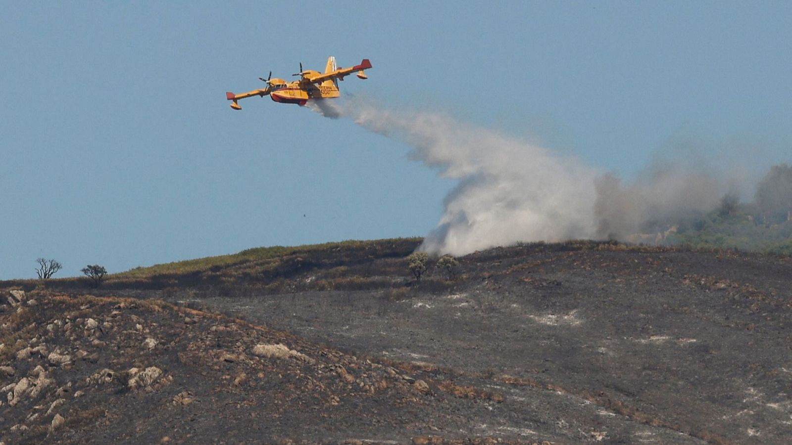 Estabilizado el incendio de Tarifa, Cádiz - Diario 24 | Ver