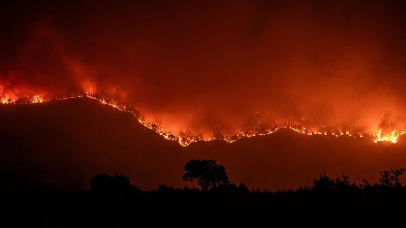 Omar Queipo, jefe Subgrupo táctico UME en Ourense, apunta una “calma tensa” para la jornada de extinción de este miércoles - La hora de La 1 | Ver