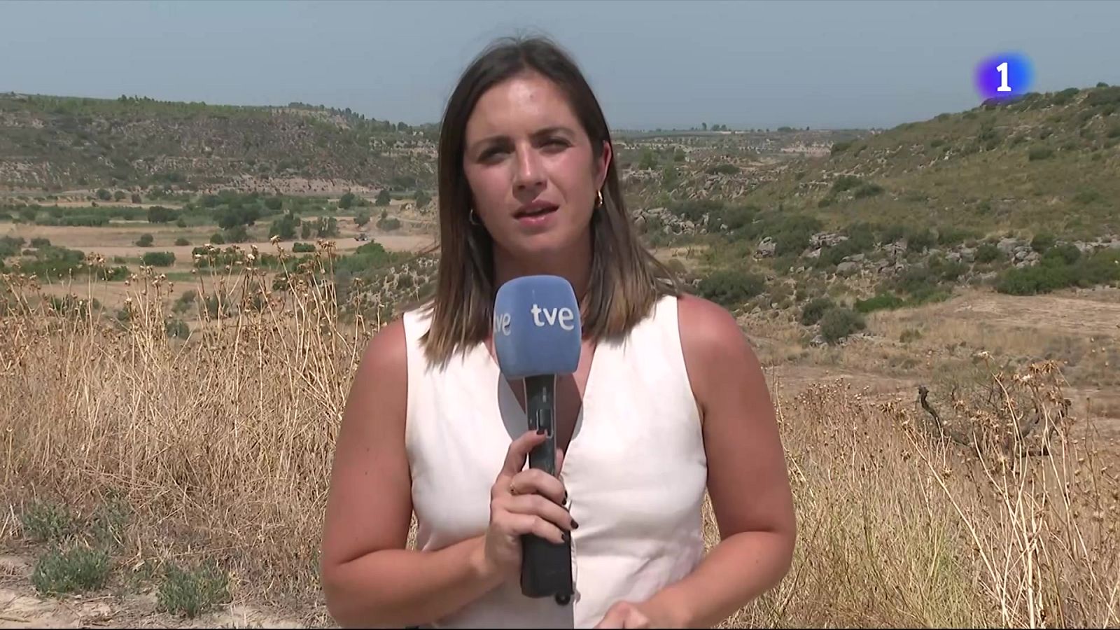 Activat el nivell 3 del pla alfa a Ponent i a la zona de l'Ebre