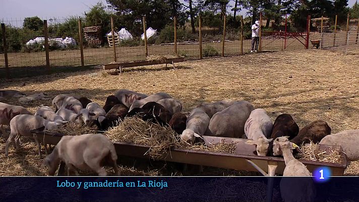 Informativo Telerioja - Telerioja en 2 - 13-08-2025 - Ver ahora