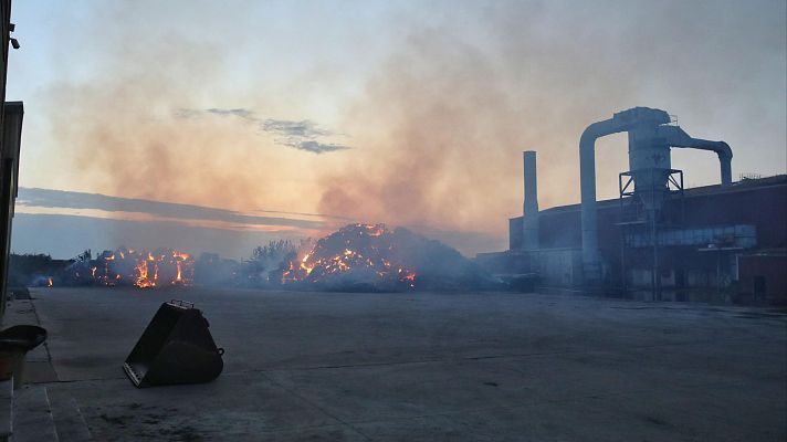 Diario 24 - Diario 24 - 13/08/25