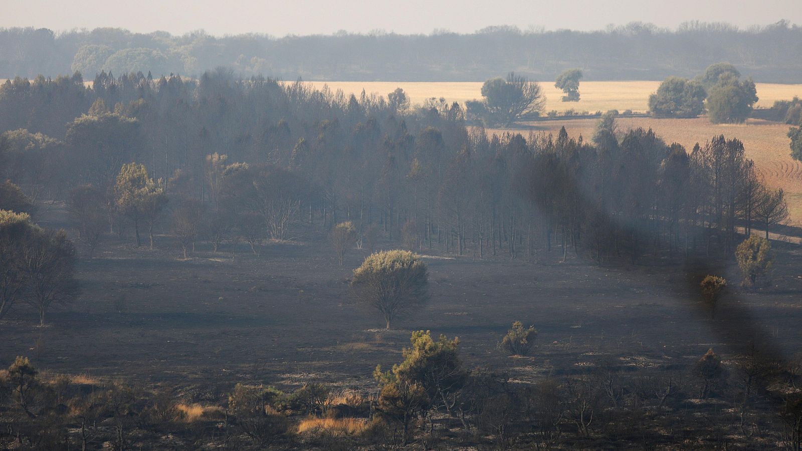 Informativo 24 horas - 14h - 13/08/25 - Informativo 24h | Ver