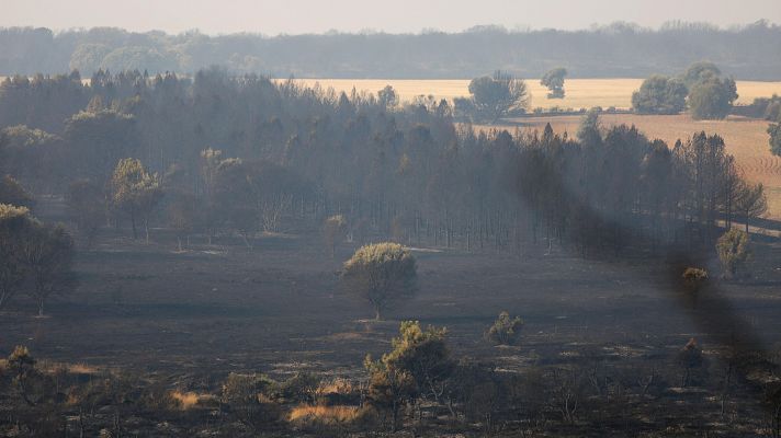 Informativo 24h - Informativo 24 horas - 14h - 13/08/25