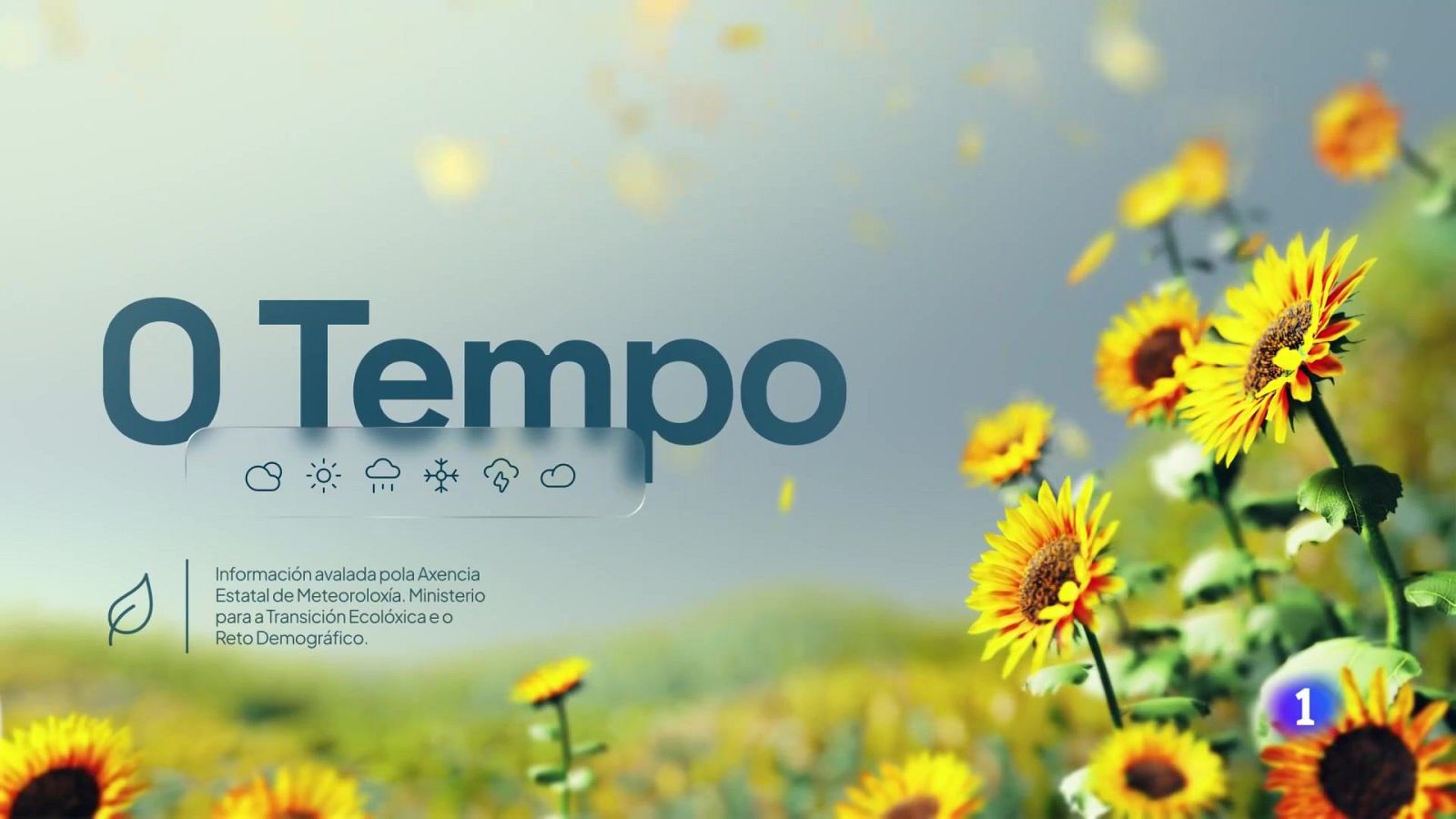 El tiempo en Galicia 13-08-2025 | Ver