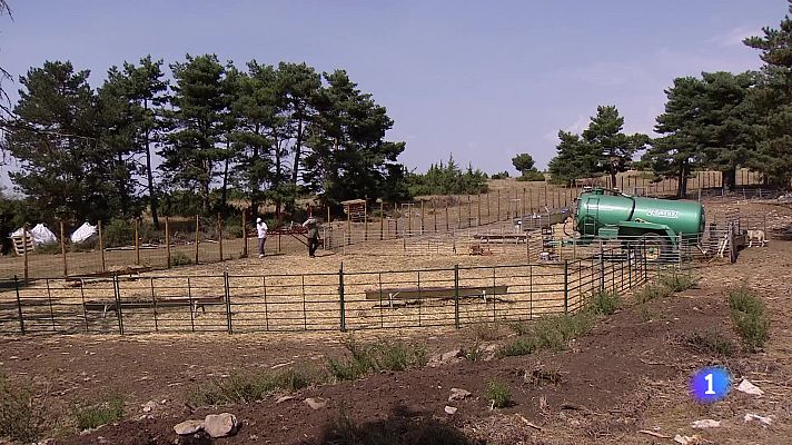 Informativo Telerioja - Informativo Telerioja 2 - 13-08-2025