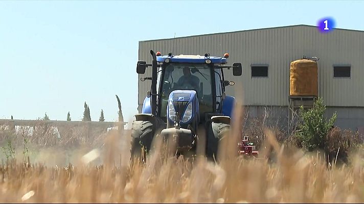L'Informatiu - A Linyola hi ha un tractor per cada vuit veïns