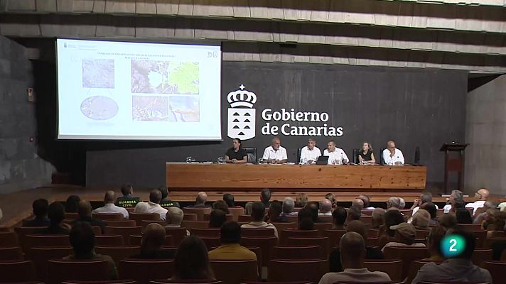 Telecanarias - Telecanarias Tarde - 13/08/2025