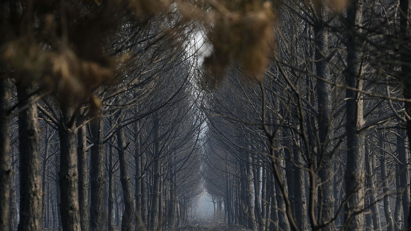 Sube al nivel 2 el incendio de Anllares del Sil, en León | Ver