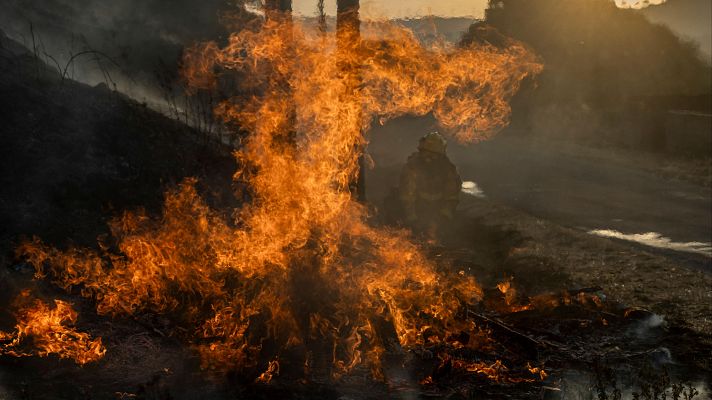 Diario 24 - Cómo actuar si nos rodean las llamas: claves y consejos