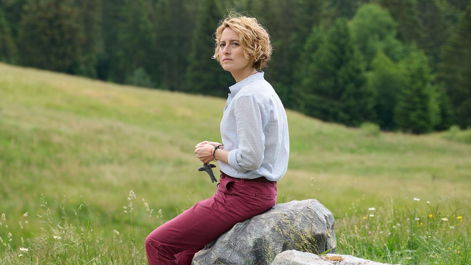 Un verano en la selva negra | Ver películas gratis en RTVE Play - Cine internacional | Ver película