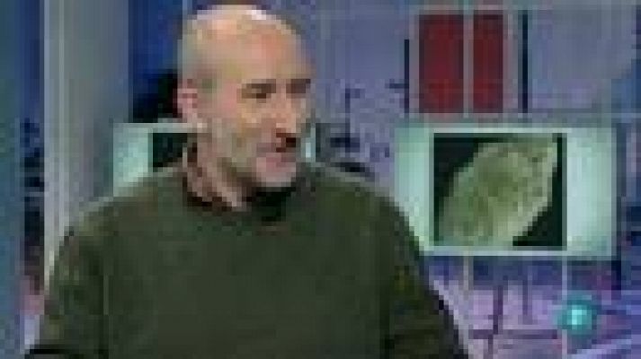 Para todos La 2 - ¿Los asteroides chocarán con ...