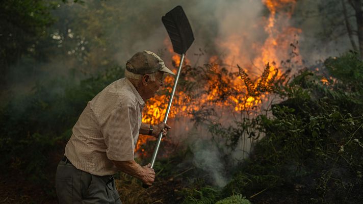 Diario 24 - Diario 24 - 14/08/25