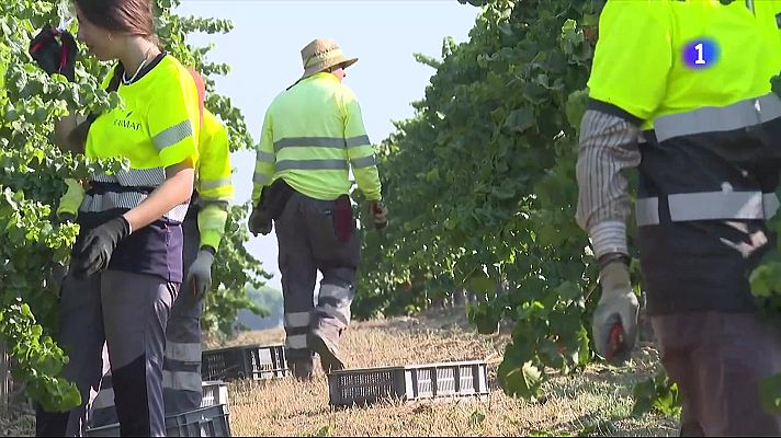 L'Informatiu - L'autòpsia constata la mort per calor del temporer del Segrià