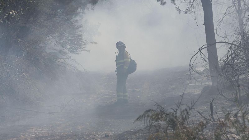 Los profesionales que combaten los incendios denuncian la falta de medios - Telediario 1 | Ver