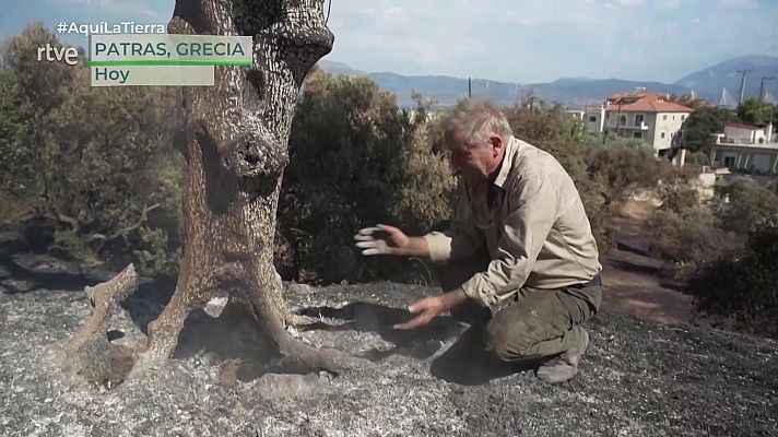 Aquí la Tierra - Aquí la Tierra - 14/08/25