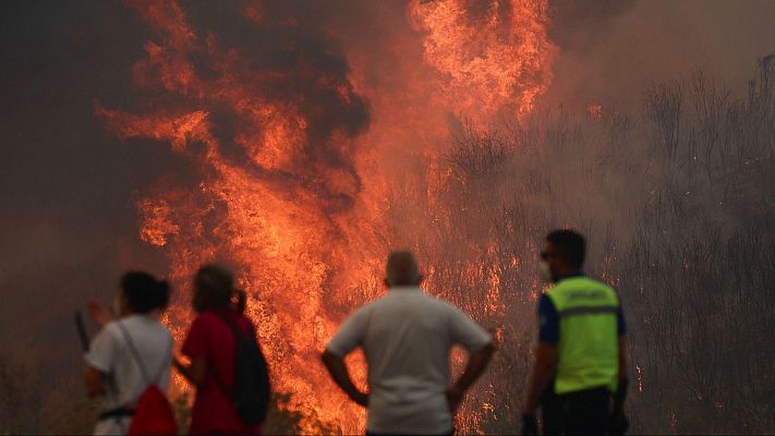 Telediario en lengua de signos - Telediario - 21 horas - 14/08/25 - Lengua de signos