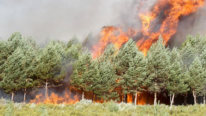 Diario 24 - Diario 24 - 15/08/25