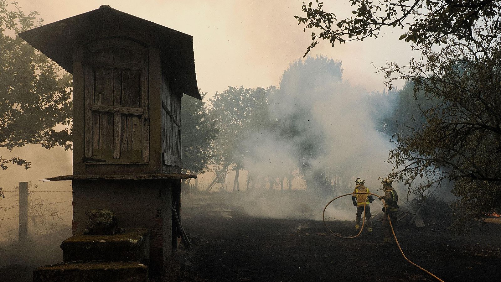Informativo 24 horas - 14h - 15/08/25 - Informativo 24h | Ver