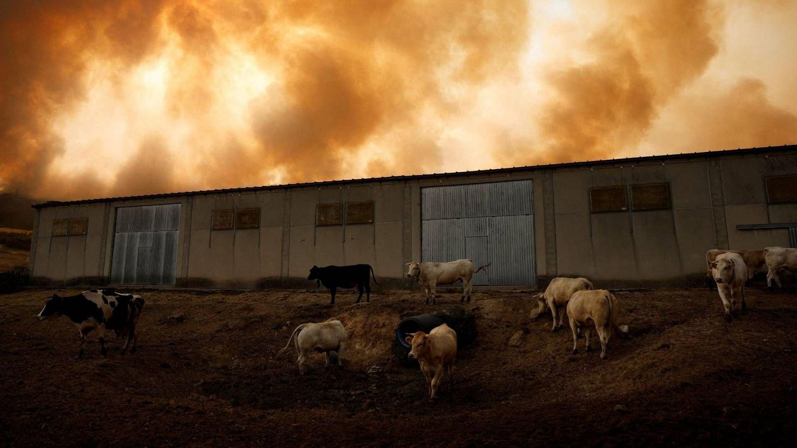 Telediario - 21 horas - 15/08/25 - Telediario 2 | Ver