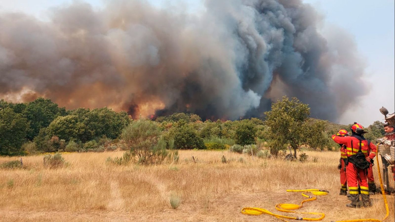 Informativo 24 horas - 14h - 16/08/25 - Fin de semana 24h | Ver