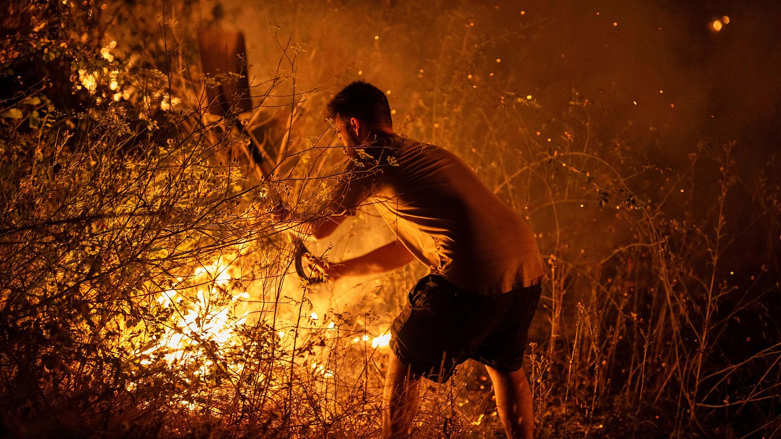 Telediario 1 en cuatro minutos - 16/08/25 - RTVE.es | Ver
