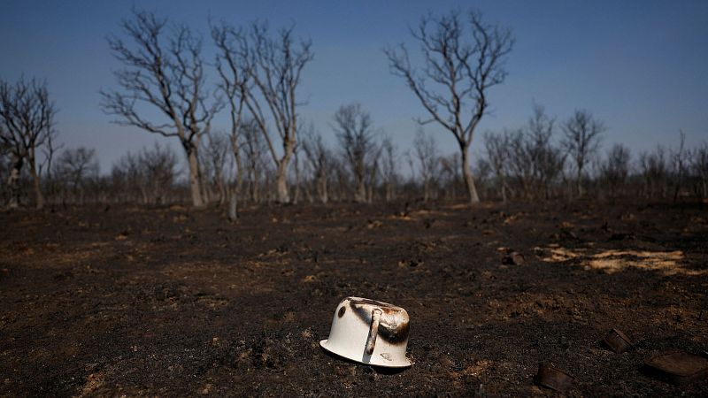 El rastro del fuego por el incendio en el Alto Sanabria | Ver