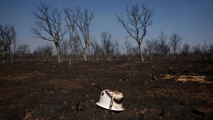  - El rastro del fuego por el incendio en el Alto Sanabria