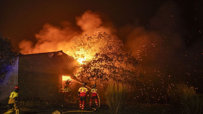 Informe semanal - Todo arde | Ver