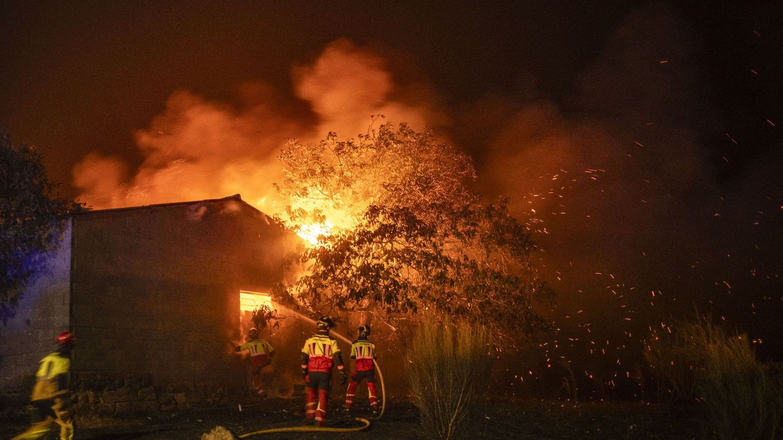 Informe semanal - Todo arde | Ver