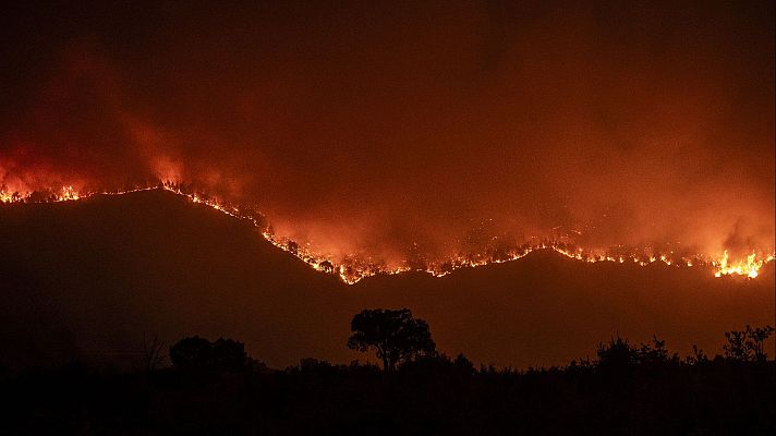 Informe Semanal - Informe semanal - 16/08/25