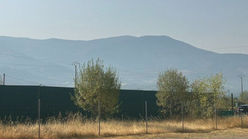 El incendio de Jarilla avanza sin control | Ver