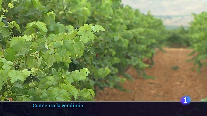 Informativo Telerioja - Informativo Telerioja 2 - 18-08-2025