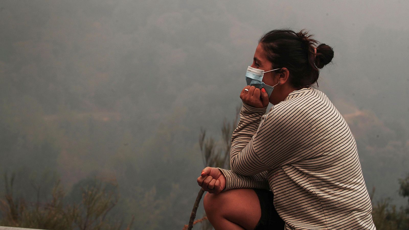 Entrevista a Carlos Baeza, neumólogo, sobre respirar el humo de los incendios - La tarde en 24h | Ver