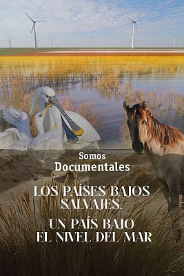 Somos Documentales - Los Países Bajos salvajes, un país bajo el nivel del mar