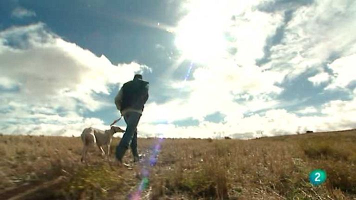 Jara y sedal - A un paso de la ciudad