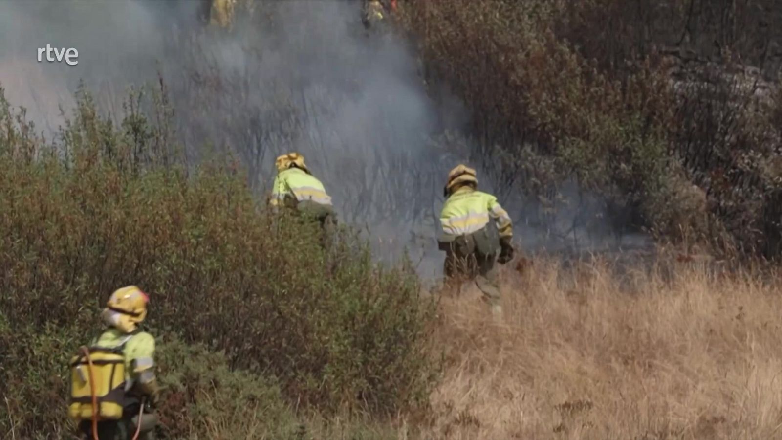 Informativo 24 horas - 20h - 18/08/25 - Informativo 24h | Ver