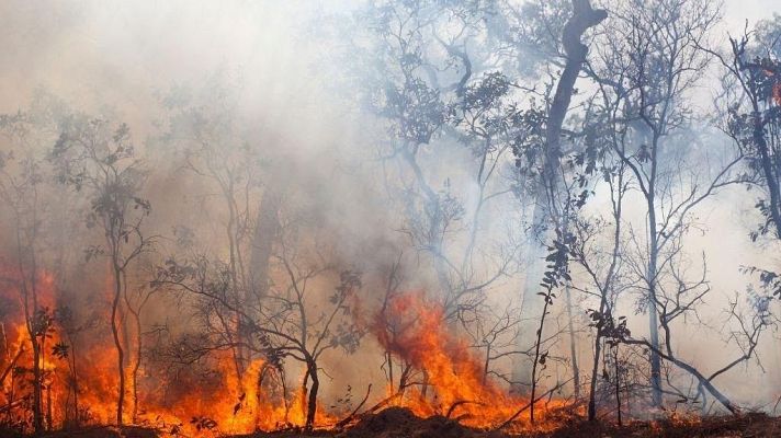 Telediario en lengua de signos - Telediario - 21 horas - 18/08/25 - Lengua de signos